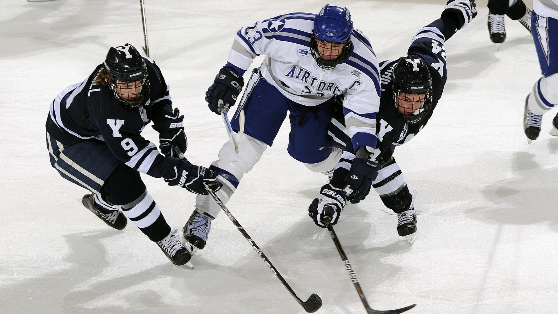 体育新闻中心发布体育内容创作者激励政策细则,体育新闻作品